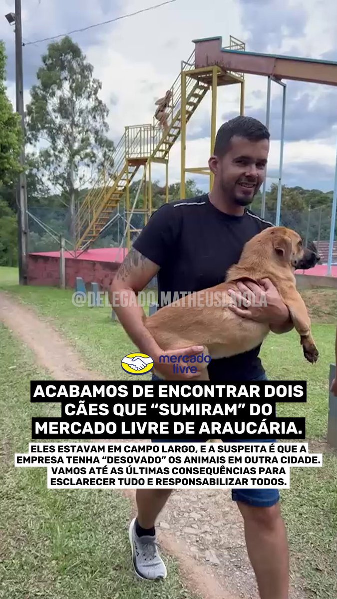Nossa equipe do Paraná Contra Maus-Tratos está em Campo Largo apurando o desaparecimento de cães comunitários do CD do Mercado Livre em Araucária. Há suspeita de que tenham sido levados e abandonados na cidade. Dois já foram encontrados e seguimos nas buscas. Ninguém passará impune.