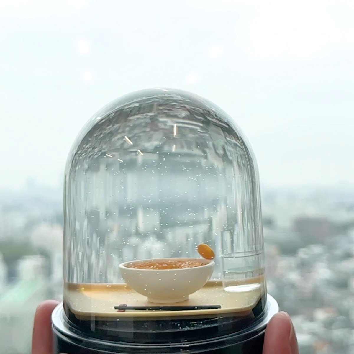 何回でもたまごをのせたい人向けの スノードームがコチラ #おバカ創作研究所 #現代美術二等兵
