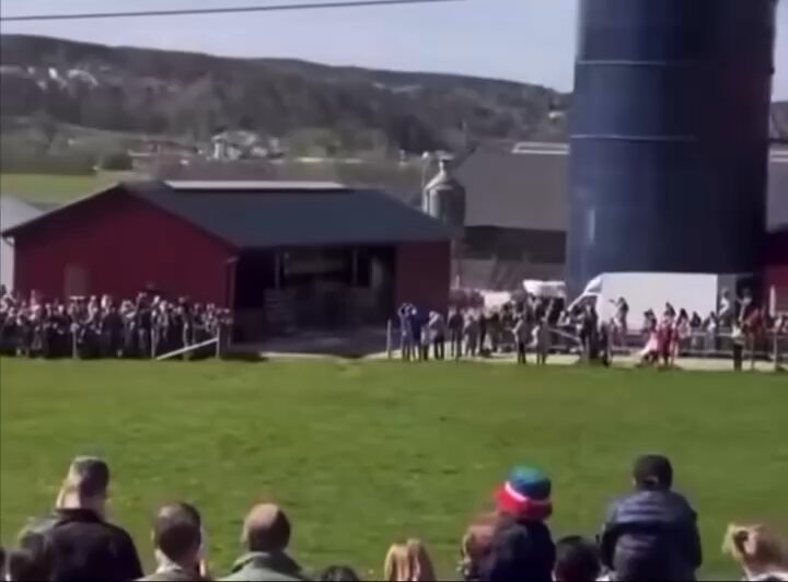 Every spring in Sweden, thousands of people show up to watch cows run free, and it is exactly as joyful as it sounds. Known as “Kosläpp,” or cow release, this annual tradition marks the moment dairy cows are let out of their barns after months of winter confinement, as Swedish law requires all cows to graze outdoors during summer. The animals burst into fields running, jumping, and rolling in the grass, drawing crowds of up to 5,000 visitors per farm. Have you ever seen anything make an animal this happy?