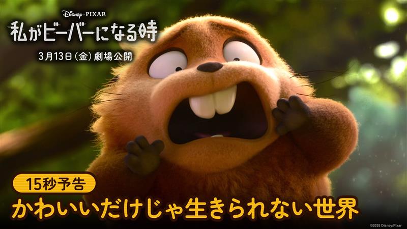 夢見ていた動物の世界は… _人人人人人人人人人人人人人人人人人_ > カワイイだけじゃ生きられない⁉ <  ̄Y^Y^Y^Y^Y^Y^Y^Y^Y^Y^Y^Y^Y ̄ 中身は人間🔄見た目はビーバーのメイベルが 人間の常識が一切通じない とんでもない世界へ💥 『私がビーバーになる時』 わたビバ🦫は 3/13(金)劇場公開