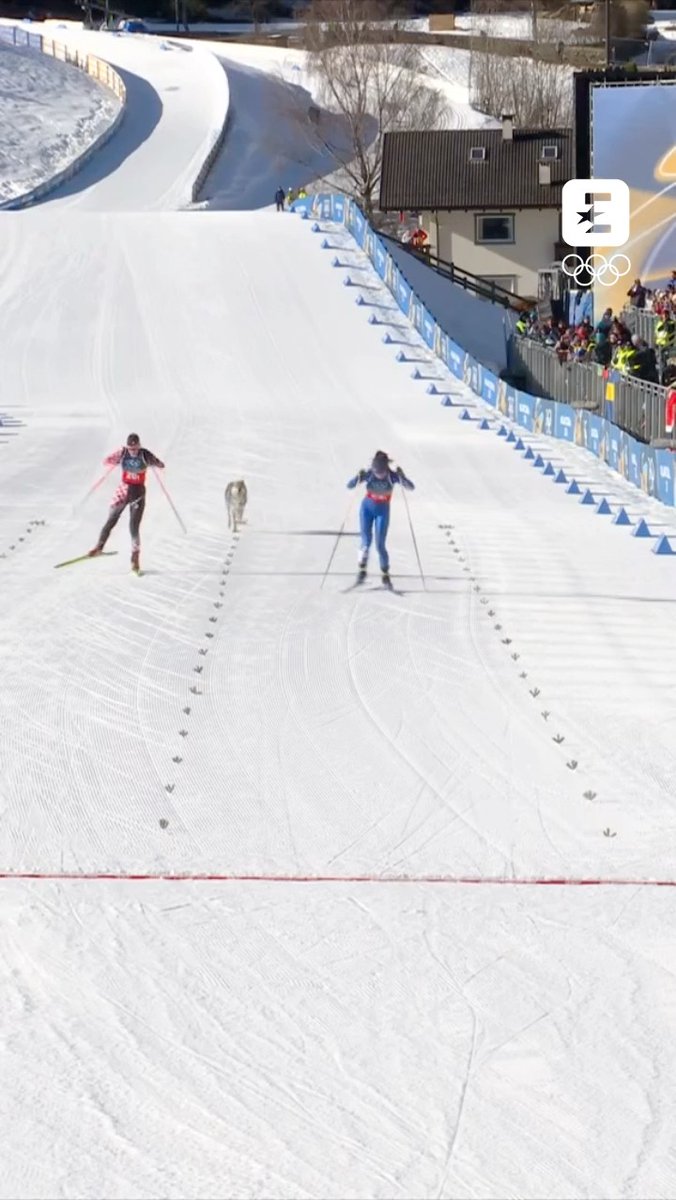 Un invité surprise sur le ski de fond. 🥹 Ne cherchez pas, c’est la meilleure photo-finish de ces Jeux de #MilanoCortina2026. 🐶🐕 Suivez-les en intégralité sur Eurosport et @hbomaxfr