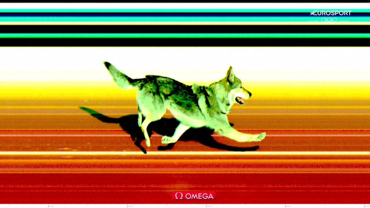 io mi sento malissimo sta pure nel photofinish