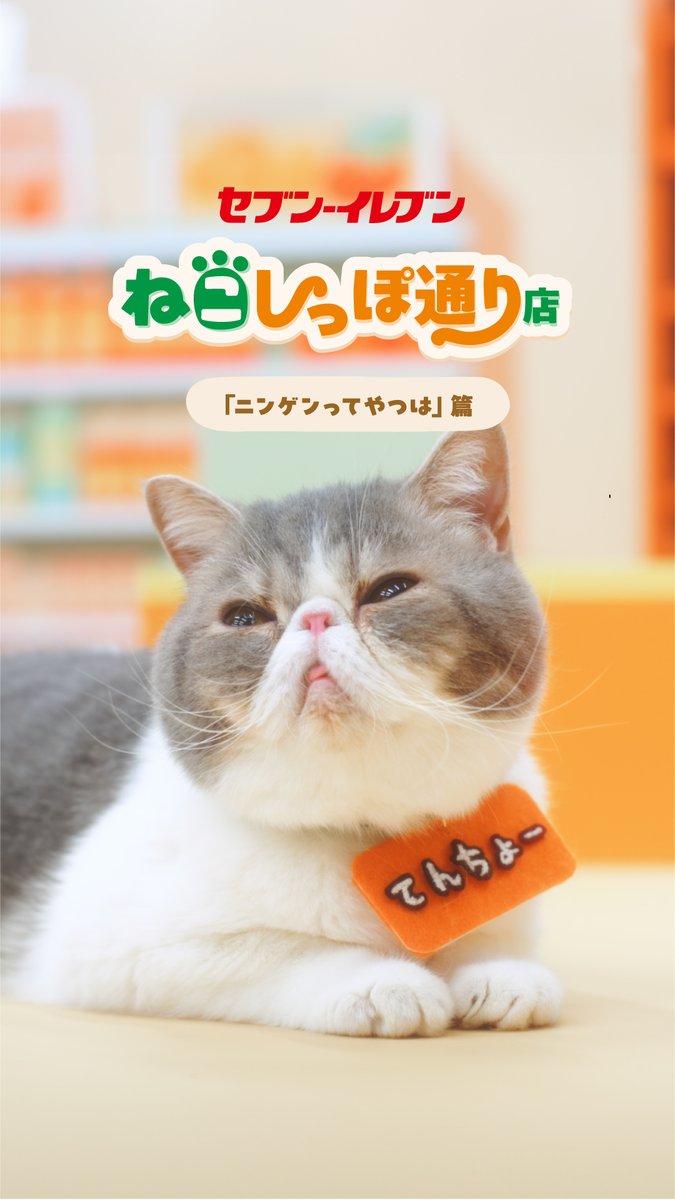 ╭━━━━━━━━━━━╮ ねこしっぽ通り店🐾 「ニンゲンってやつは」篇 ╰ｖ━━━━━━━━━━╯ 🐈🐈 ニンゲン界のセブン‐イレブンで 発売されているスイーツを発見👀✨ 猫たちからみた"ニンゲン"とは…❓