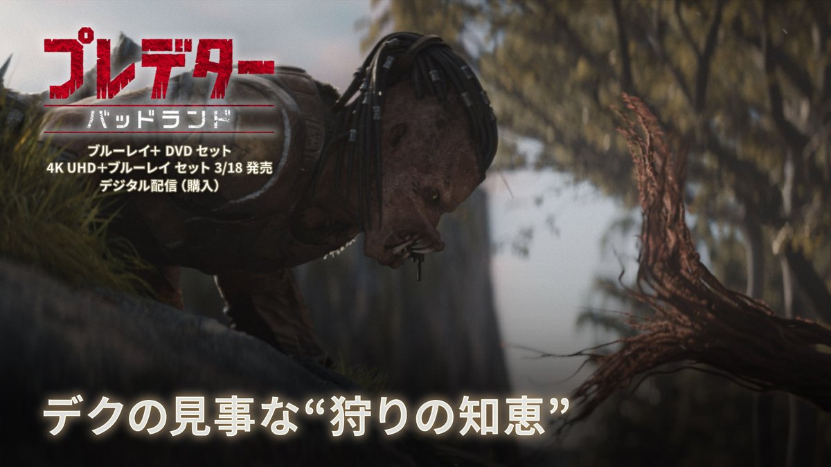 武器を失ったデク 生き残るために編み出した 驚きのサバイバル術に注目‼️👀 さらに、危険生物に襲われる 緊迫の未公開シーンも🎬 『#プレデター：#バッドランド』3/18発売 ・ブルーレイ＋DVD セット ・4K UHD＋ブルーレイ セット