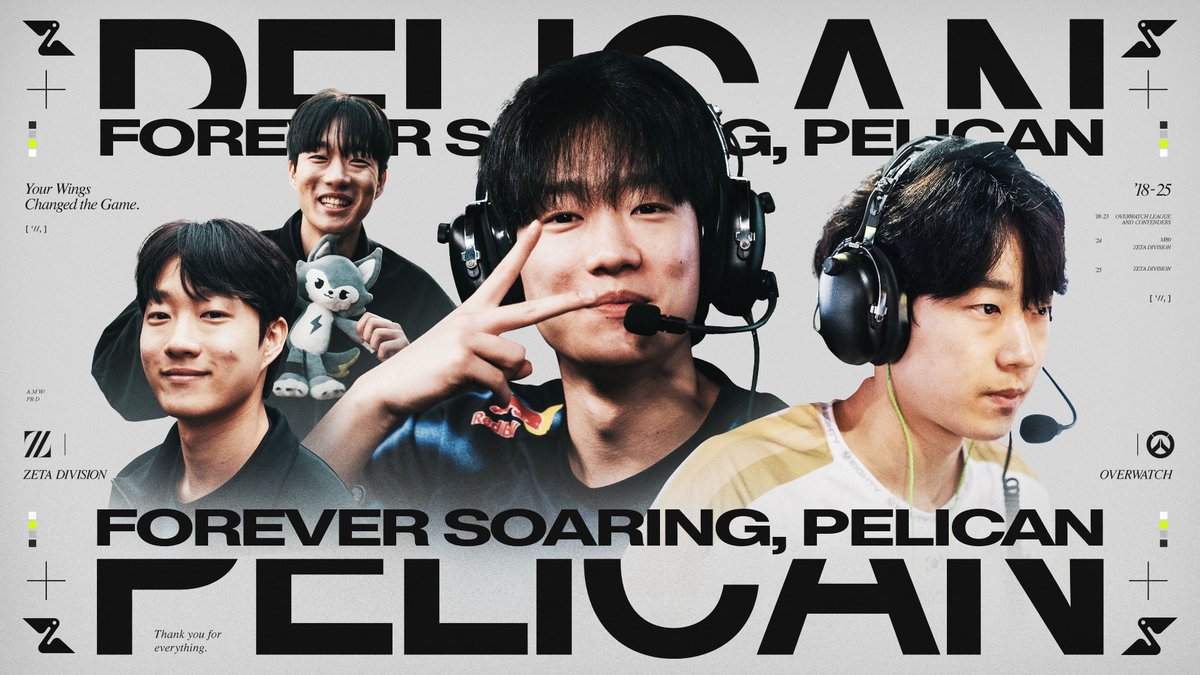 FOREVER SOARING, PELICAN