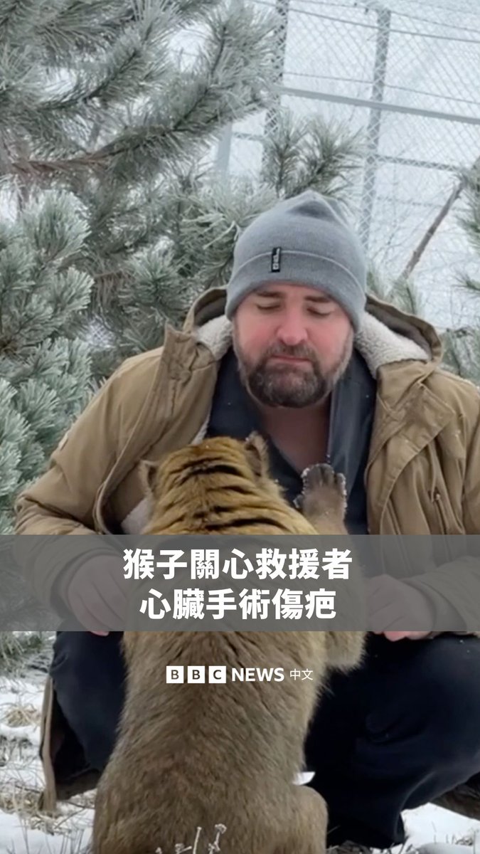 在分开三周后，一只名叫托赛（Tosya）的猴子与牠的救援者斯托扬诺夫重聚，并立即关心他心脏手术后留下的伤疤。 斯托扬诺夫先前将托赛从虐待牠的主人手中救出，双方因此建立了牢固的关系。斯托扬诺夫和他的妻子皆为兽医，两人多年来致力于拯救野生动物。