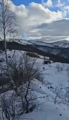 KURŠUMLIJA, SELO RASTELICA.NAORUŽANI ŠIPTARI DANAS SA 12 TRAKTORA i NEKOLIKO RADNIH MAŠINA ULAZE 5 km NA TERITORIJU KURŠUMLIJE SAMO NA 1km OD LUKOVSKE BANJE.ŠETAJU SLOBODNO I MARŠIRAJU KAO DA SU U PRIŠTINI.SVAKODNEVO PUCAJU NA MEŠTANE KOJI ŽIVE U SELIMA DUŽ ADMINISTRATIVNE LINIJE