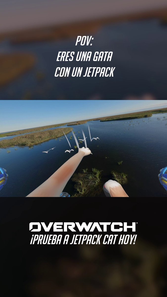 POV: Eres una gata con un jetpack 🐱🚀