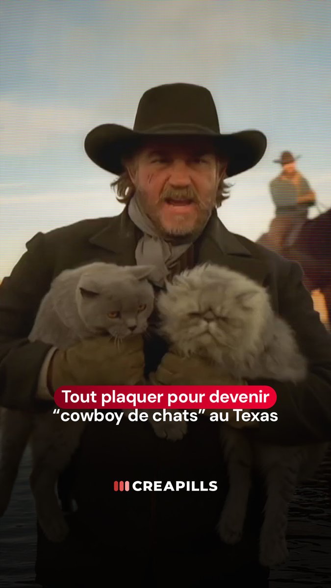 Le genre de petit bijou d’humour absurde qu’on adore… 😹