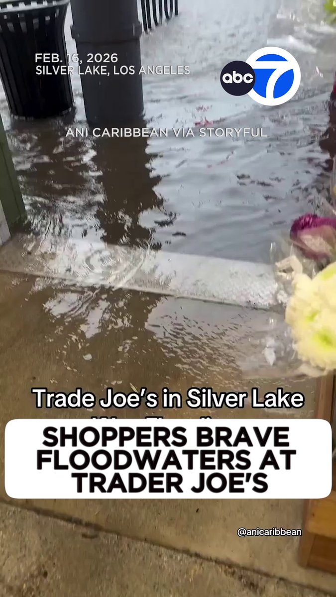 A Trader Joe’s in Silver Lake was inundated with water as flash flood warnings hit the region. The video shows customers navigating shopping carts through floodwater.