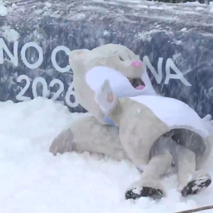 Winter Olympics mascot Tina the Stoat doing her best to battle the snowy conditions. 🫡