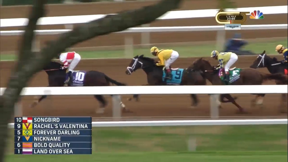 Something about the Keeneland air in 2015... Songbird's dominant Juvenile Fillies win lives rent free in our head. The following year she went on to finish second in the Distaff, retiring with 13 wins and 2 seconds.