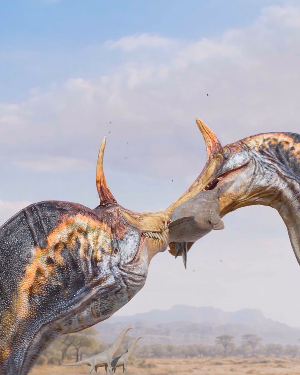 A new Spinosaurus species uncovered in northern Niger appears to have been a wading predator of fish like its close relatives, but it lived as many as 1000 kilometers inland from the Tethys Sea. The fossil find may represent a third phase of evolution for this group of massive, fish-eating dinosaurs. Learn more this week in Science: