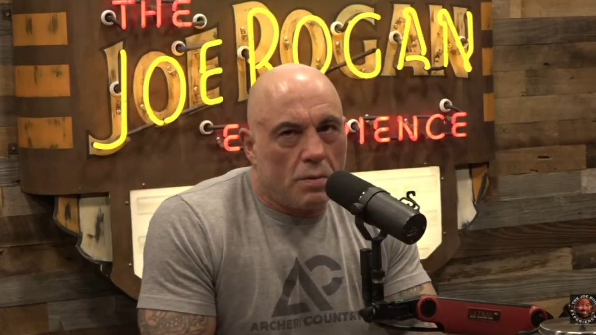 Joe Rogan finally learns about Michael Tracey's take on Epstein
