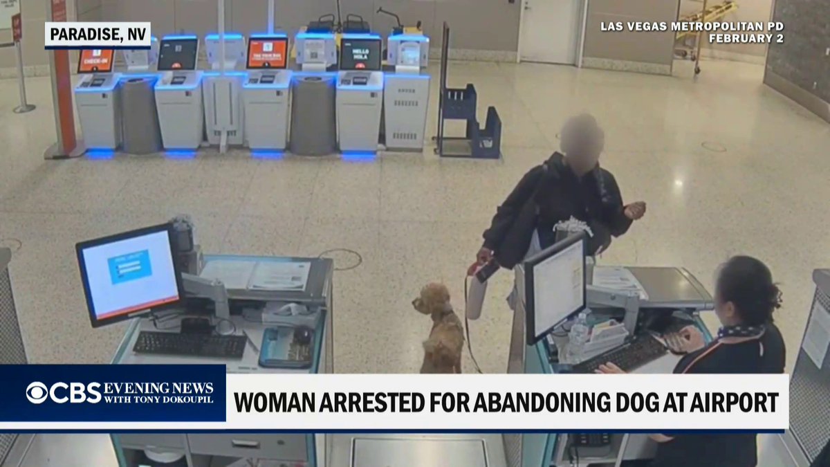 A woman was arrested for abandoning her dog after leaving the golden doodle at an airport counter in Las Vegas. Authorities say she was denied a boarding pass because she did not have the proper documentation for her pup.
