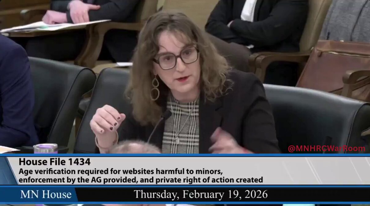 🚨 WATCH: Minnesota Republicans proposed age verification for websites that host adult content. Rep. Leigh Finke (D) argues that queer kids should have access to it for educational purposes. WTF?