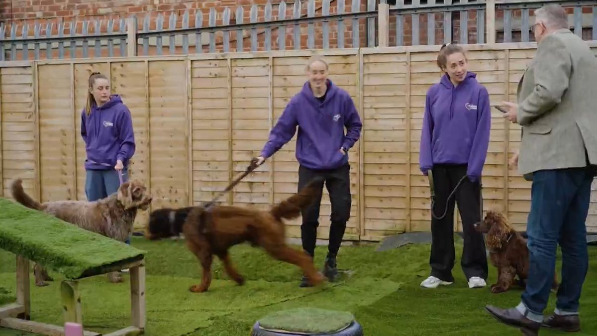 The latest episode of Ella Toone's Away Days has arrived! 🚘 This time Tooney surprises Man Utd teammates and dog lovers Maya Le Tissier and Millie Turner 🐶 📲 YouTube: 📲 Extended episode on discovery+ UK
