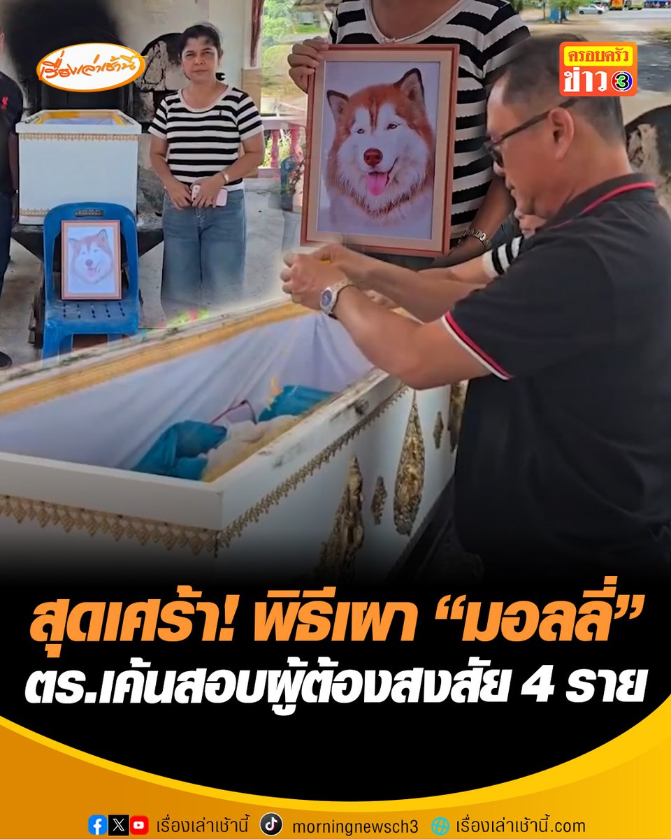 เจ้าของสุดเศร้า! รับร่าง "น้องมอลลี่" ไซบีเรียนถูกจุดไฟเผา นำไปทำพิธีเผาที่วัด ต.เกาะยอ อ.เมืองสงขลา เค้นสอบผู้ต้องสงสัย 4 ราย ยังไม่มีใครรับสารภาพ ตำรวจเร่งรวบรวมพยานหลักฐานและหลักฐานทางนิติวิทยาศาสตร์หาตัวผู้ก่อเหตุ #เรื่องเล่าเช้านี้ #ครอบครัวข่าว3 #ข่าวภูมิภาค #สงขลา #มอลลี่
