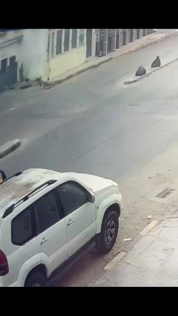 حادث سير بين أمراة ورجل في طريق قبل قليل #العاصمة