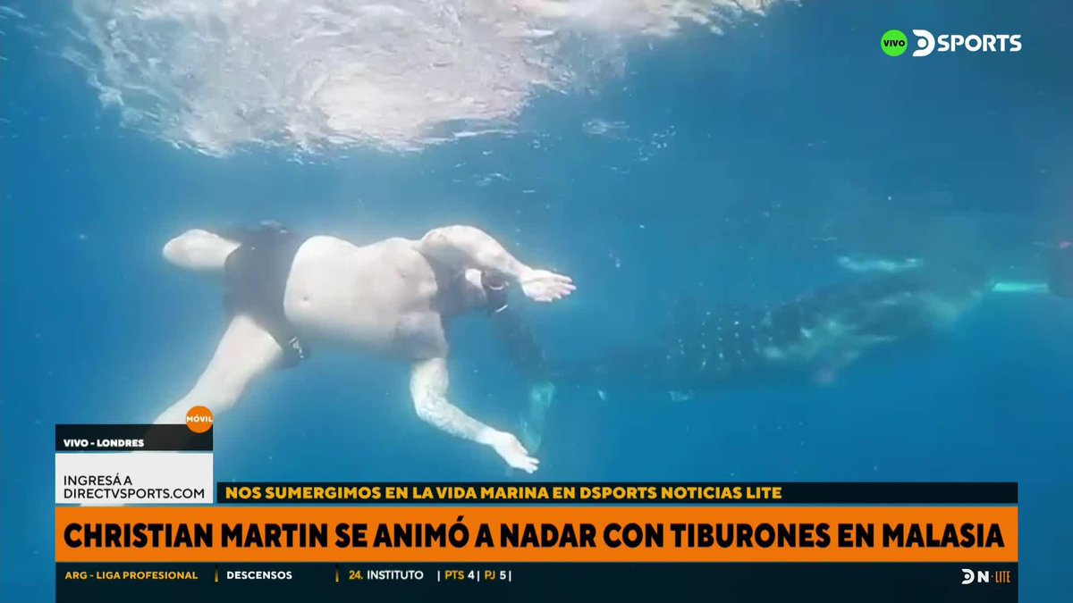 ¡ME PARECE QUE ELLOS TE TEMÍAN A VOS, VIKINGO! 😂 🦈 @AskoMartin se animó a nadar con tiburones ballena en Malasia 🇲🇾 y contó su experiencia en #DSPORTSNoticiasLite.