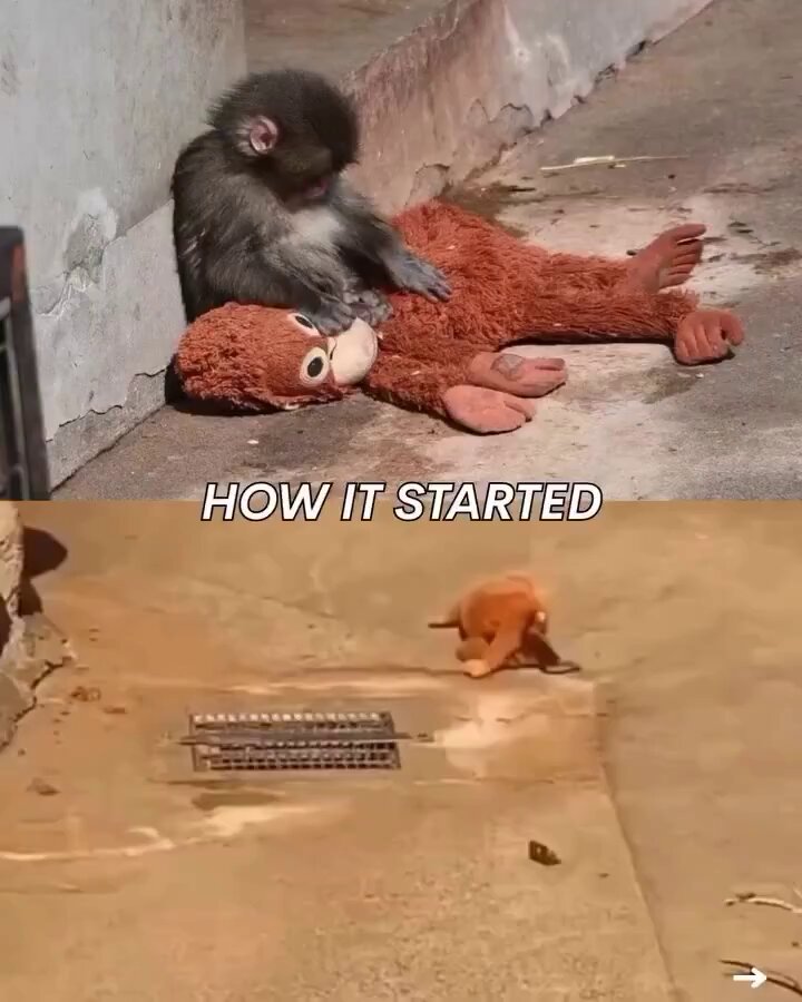 How it started 💔 Vs. How it's going ❤️‍🩹
