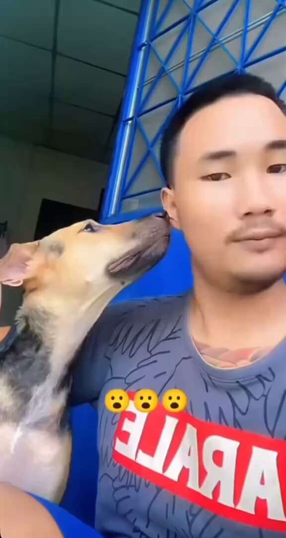 The Dog got Scared for real 😂😂
