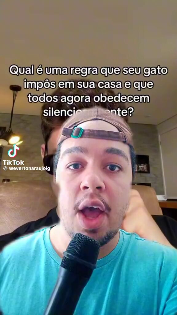amo como gatos são donos da casa e a gente só segue as ordens deles