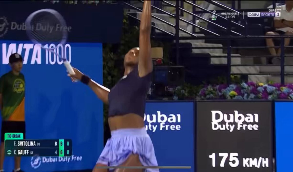 insane point at the net