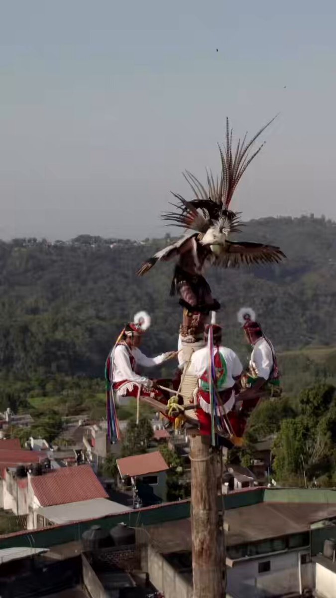 Mexico’s beautiful Indigenous culture and people performing the Ritual of Flyers ceremony. This is what the media never shows because they are aligned with Trump’s “rapist and murderers” fraudulent, racist narrative.