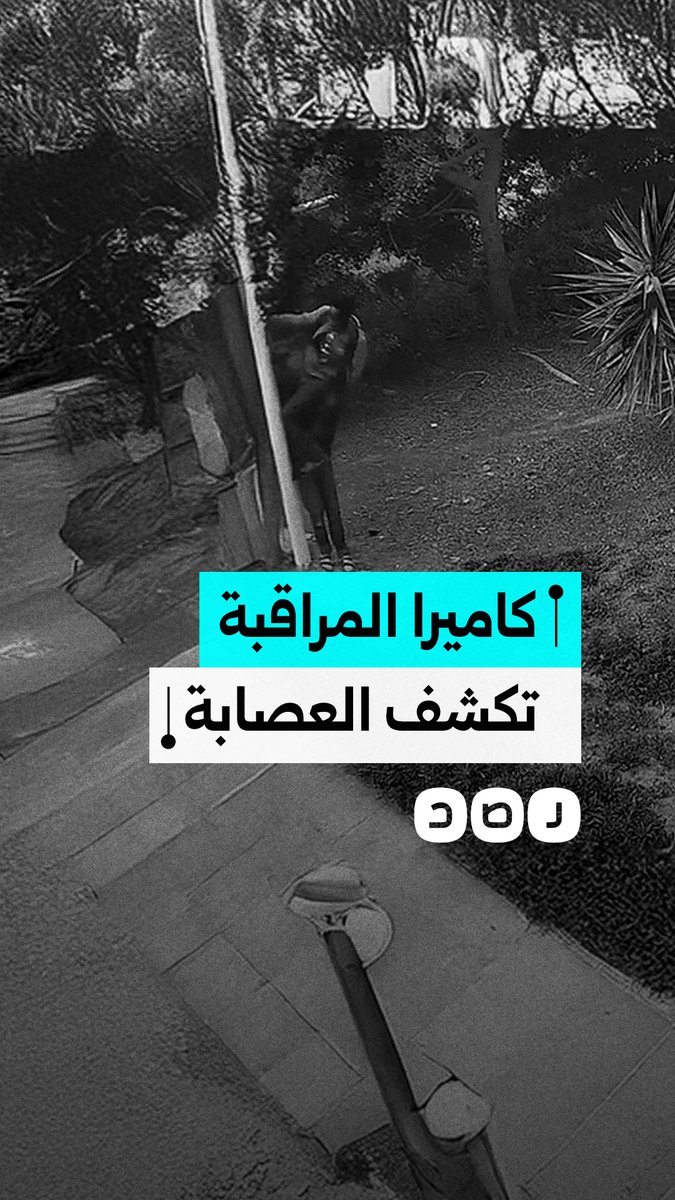 كاميرا مراقبة توثق محاولة شخصين سرقة أسلاك أعمدة إنارة بمدينة نصر بالقاهرة
