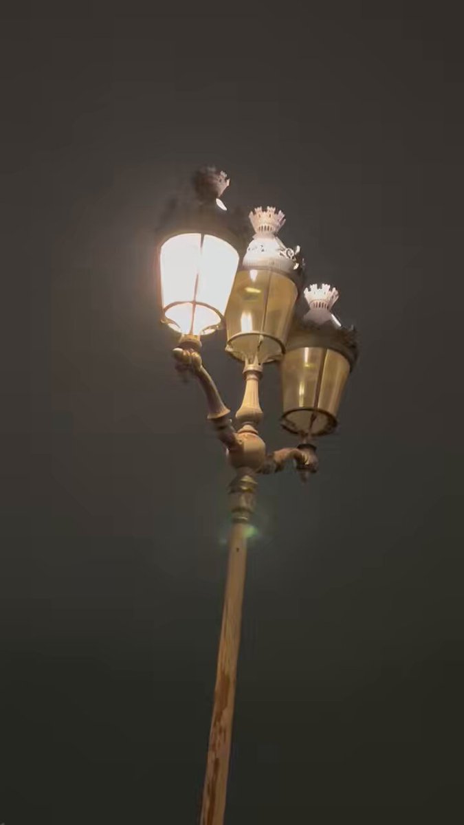 Tout le monde se branle de tout dans cette ville. Entre le Petit et le Grand Palais plus de la moitié des éclairages nocturnes sont HS. Que ces bons à rien dégagent vite, on n’en peut plus de voir la ville sombrer. #saccageparis