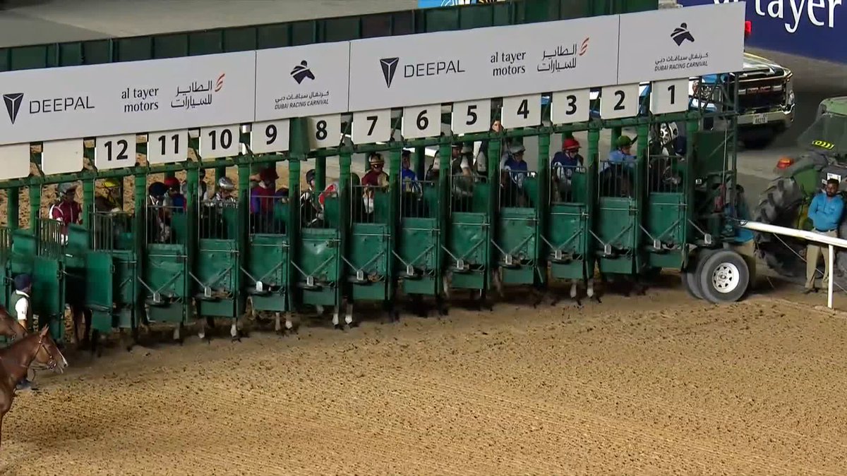 🇦🇪ドバイのリステッド(※)で断然人気馬サルームがゲートから突進…したものの、"アウトライダー"によって迅速に確保された映像。残念ながら出走は取り消し。 ※ドバイロードトゥザケンタッキーダービー。日本におけるヒヤシンスS的な立ち位置。 🎥 Racing TV