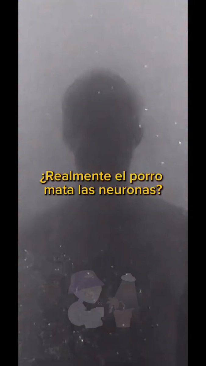 🌿 ¿Realmente el porro mata las neuronas?.