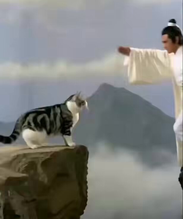 cat secret move unlocked😂