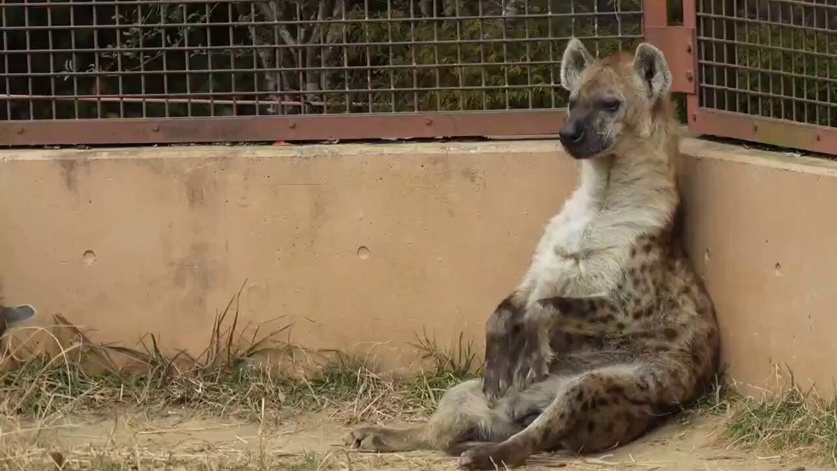 Good afternoon chill yeen today