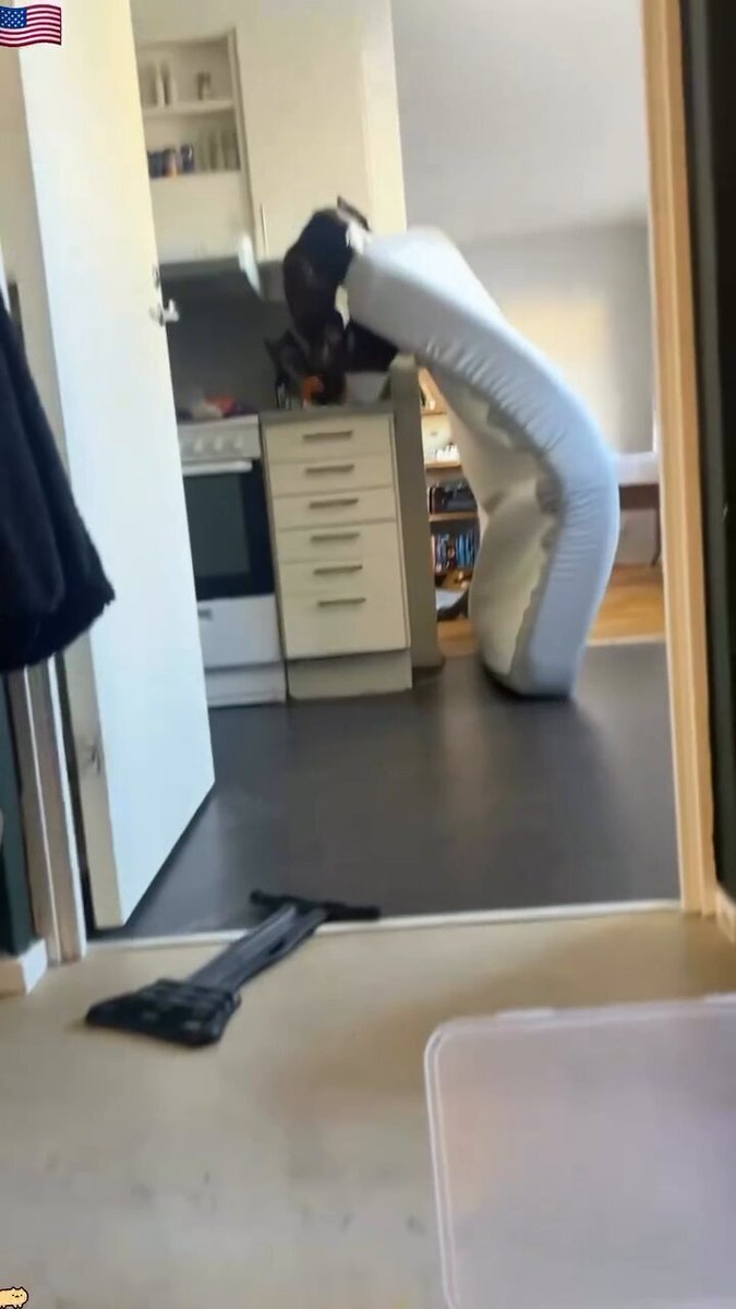Os pensabais que hoy no habría vídeo de gatitos? Estabais equivocadas😏