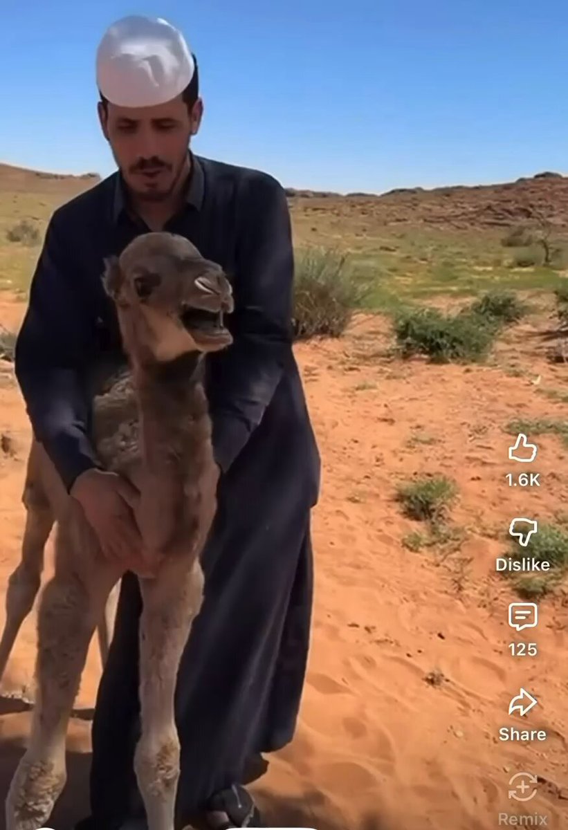 כשאני מבין שלמרות שהבטיחו לי לפני כמה שנים שלא יהיו עוד מלחמות והבן שלי לא יצטרך ללכת לצבא, פותח את התיבה ורואה שהוא קיבל את הצו הראשון בדואר.