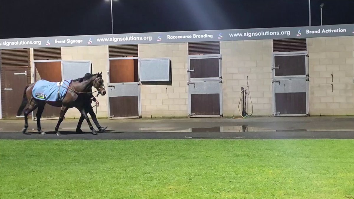 ⚫️⚪️ Constitution Hill has bought a huge crowd to Southwell ahead of his flat debut. These are extraordinary scenes people.