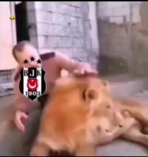 Fenerbahçe ile yarışırken aslan kesilen Galatasaray, Beşiktaş ile yarıştığında..