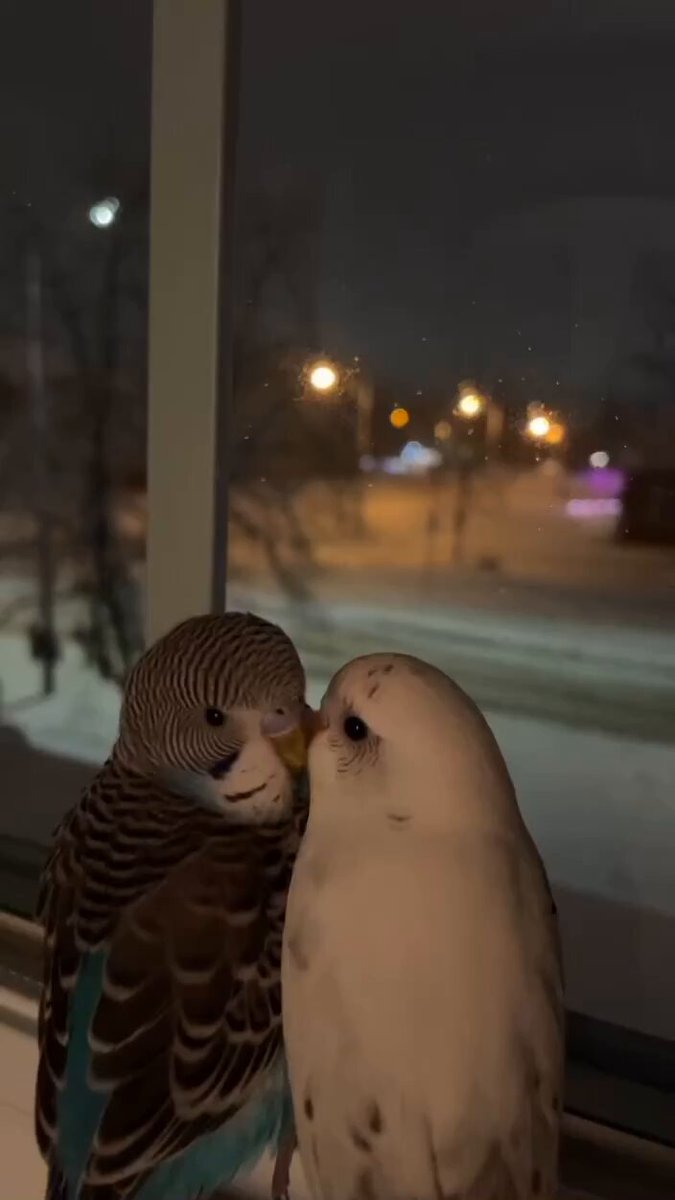 The right warmth and company is all you need on a cold romantic night