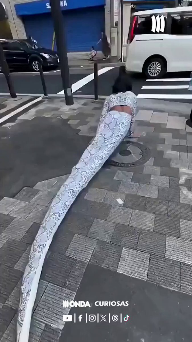 Hostia tú‼️ Un Therian serpiente 🐍 visto en Japón. Paren el mundo que yo me bajo🙏