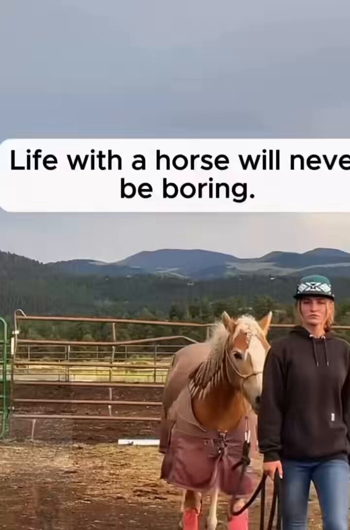 I agree .. life with horse is never and will never be boring. They’re Silly kids 😅🤣💙