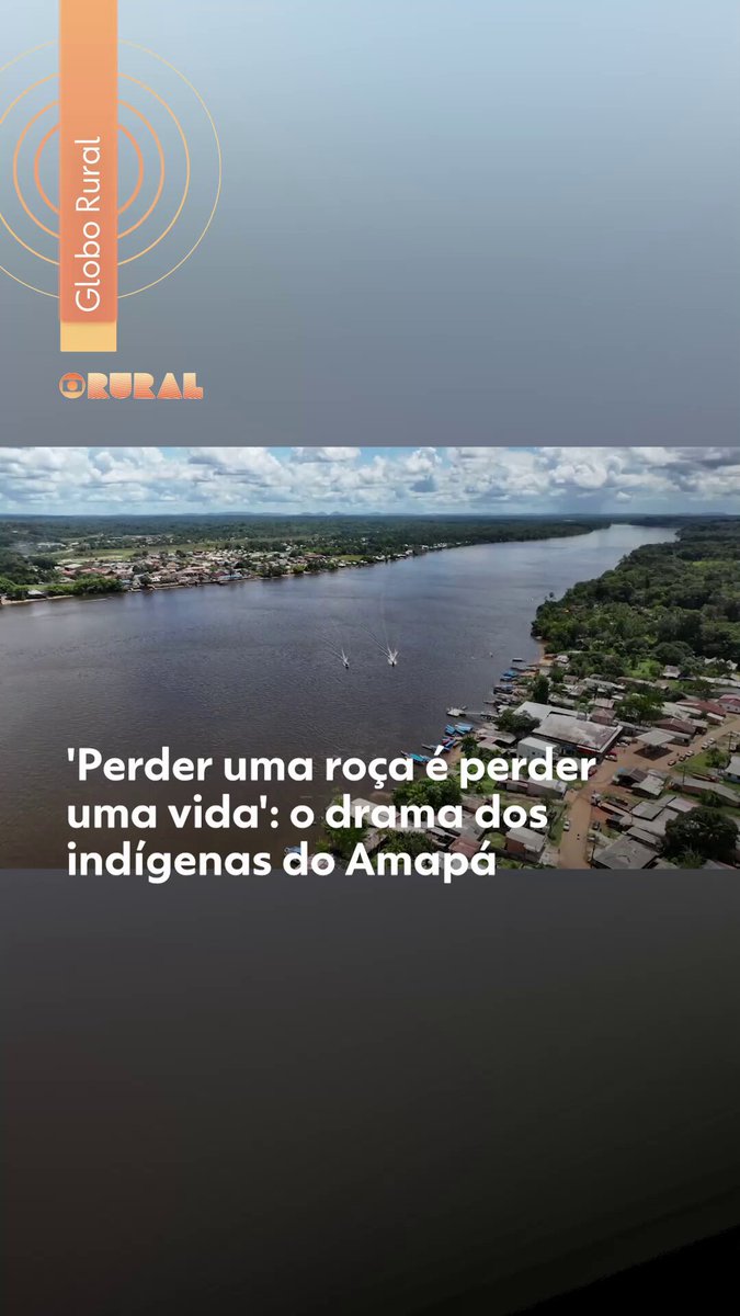 'Perder uma roça é perder uma vida': o drama dos indígenas do Amapá causado pela vassoura-de-bruxa da mandioca #g1