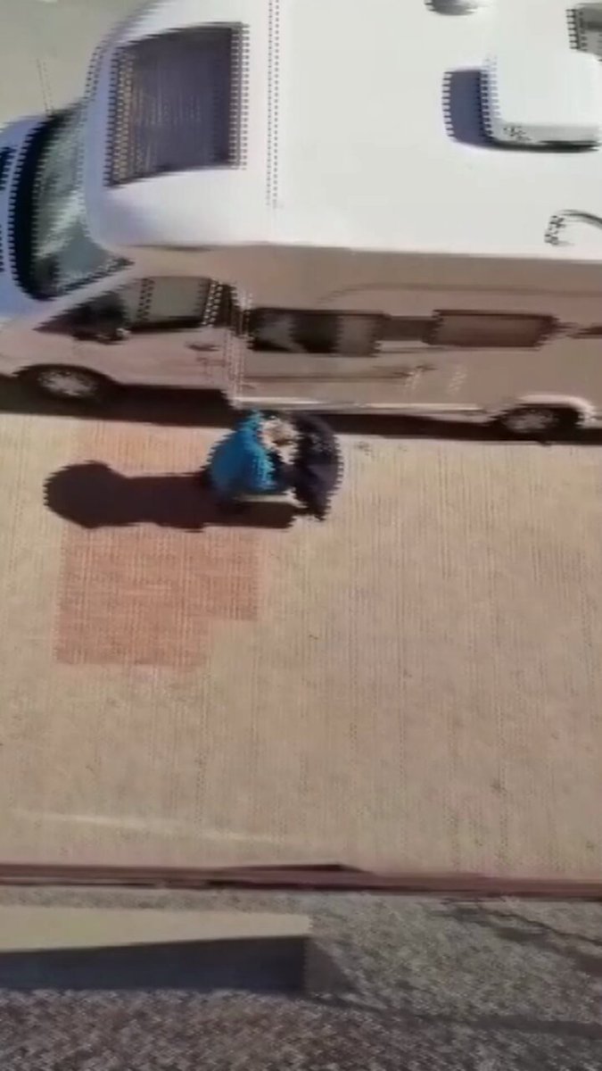 Un vecino graba como una mujer roba a un anciano en plena calle: "Dale la cadena de oro al señor"