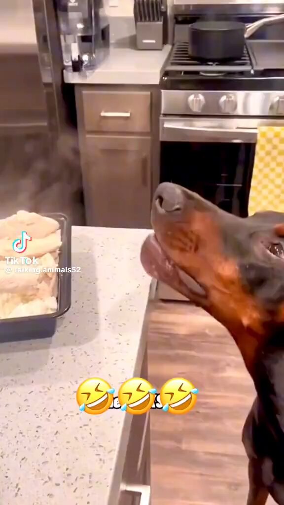 Just because we need to laugh 😂🤣