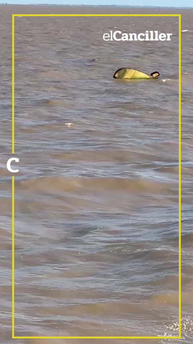 [AHORA] Un barco de Colonia Express se detuvo en el medio del Río de la Plata por una misteriosa aparición en el agua.