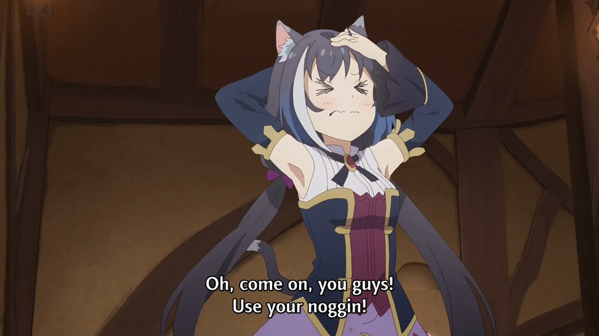 *Cat nonsense