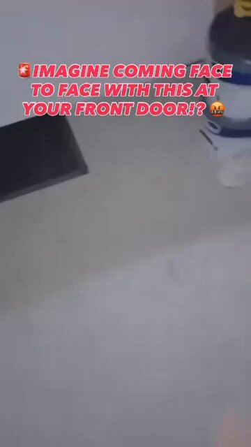 The UK needs remigration NOW! This shit shouldn’t be tolerated anywhere!