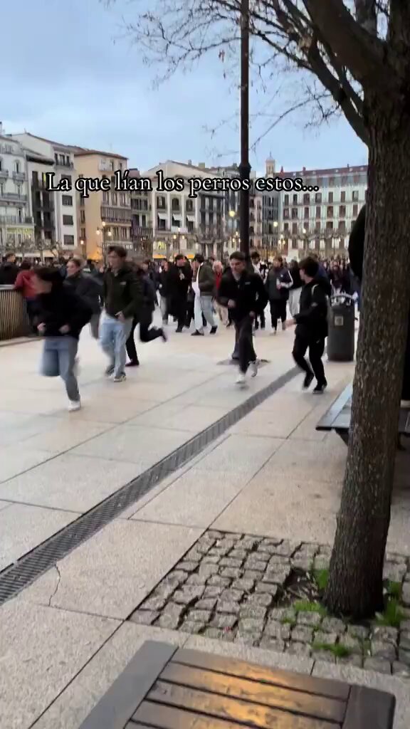 Miles de personas en Pamplona buscando "Therians" hombres perro por las calles. España esta ABSOLUTAMENTE perdida
