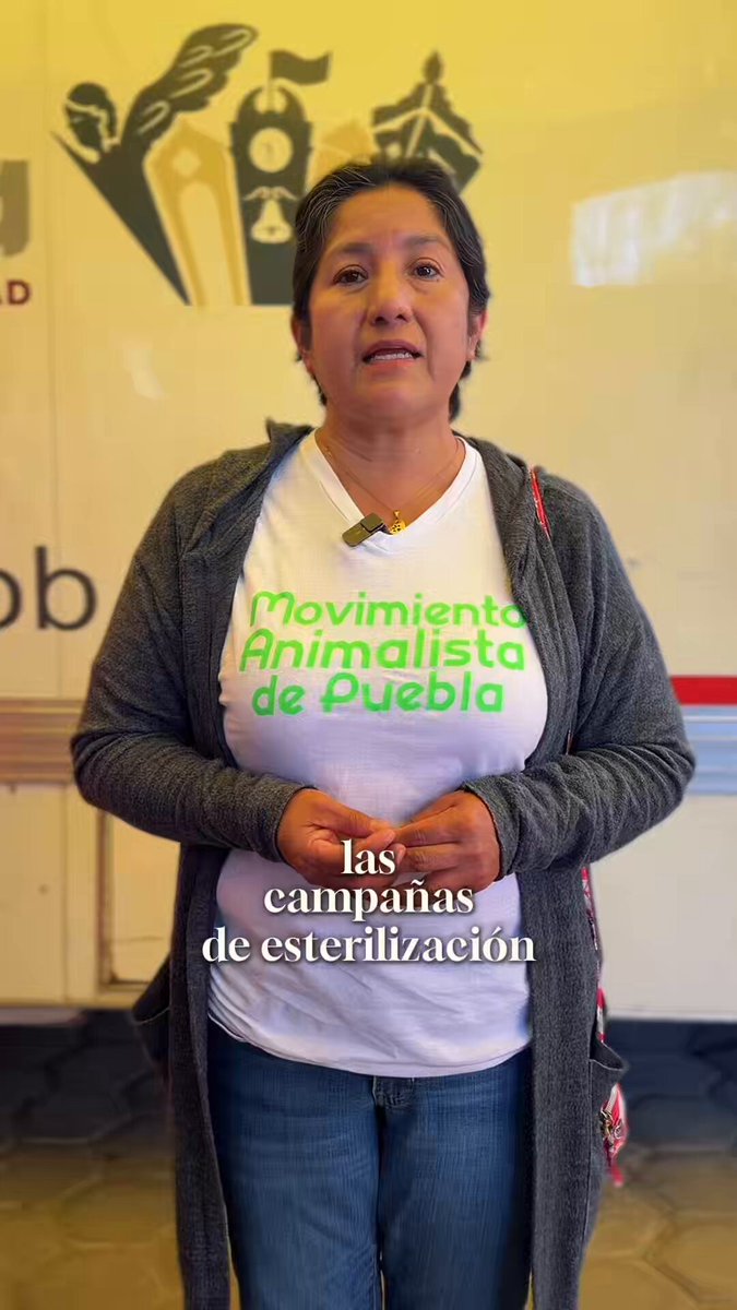 Practiquemos la tenencia responsable en nuestra Capital. Cuidar a nuestros seres sintientes también es procurar su salud. 🐶🐈 Llévalos a las jornadas de bienestar animal, el equipo de Secretaría de Medio Ambiente estará para atenderles como se merecen. 🫶🏻